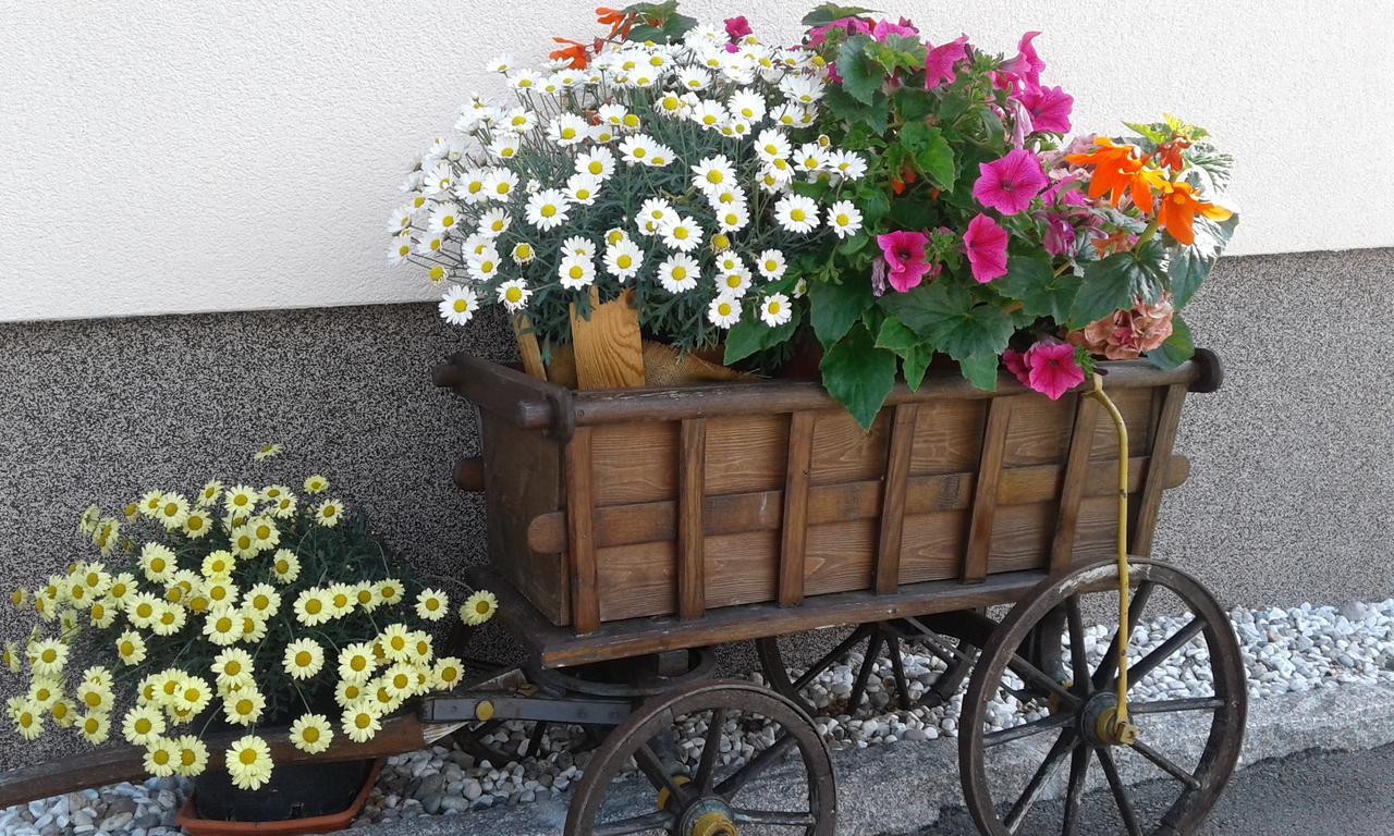 Haus Traninger Apartment Flachau Luaran gambar